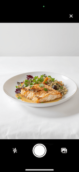 SnapMealz App Interface